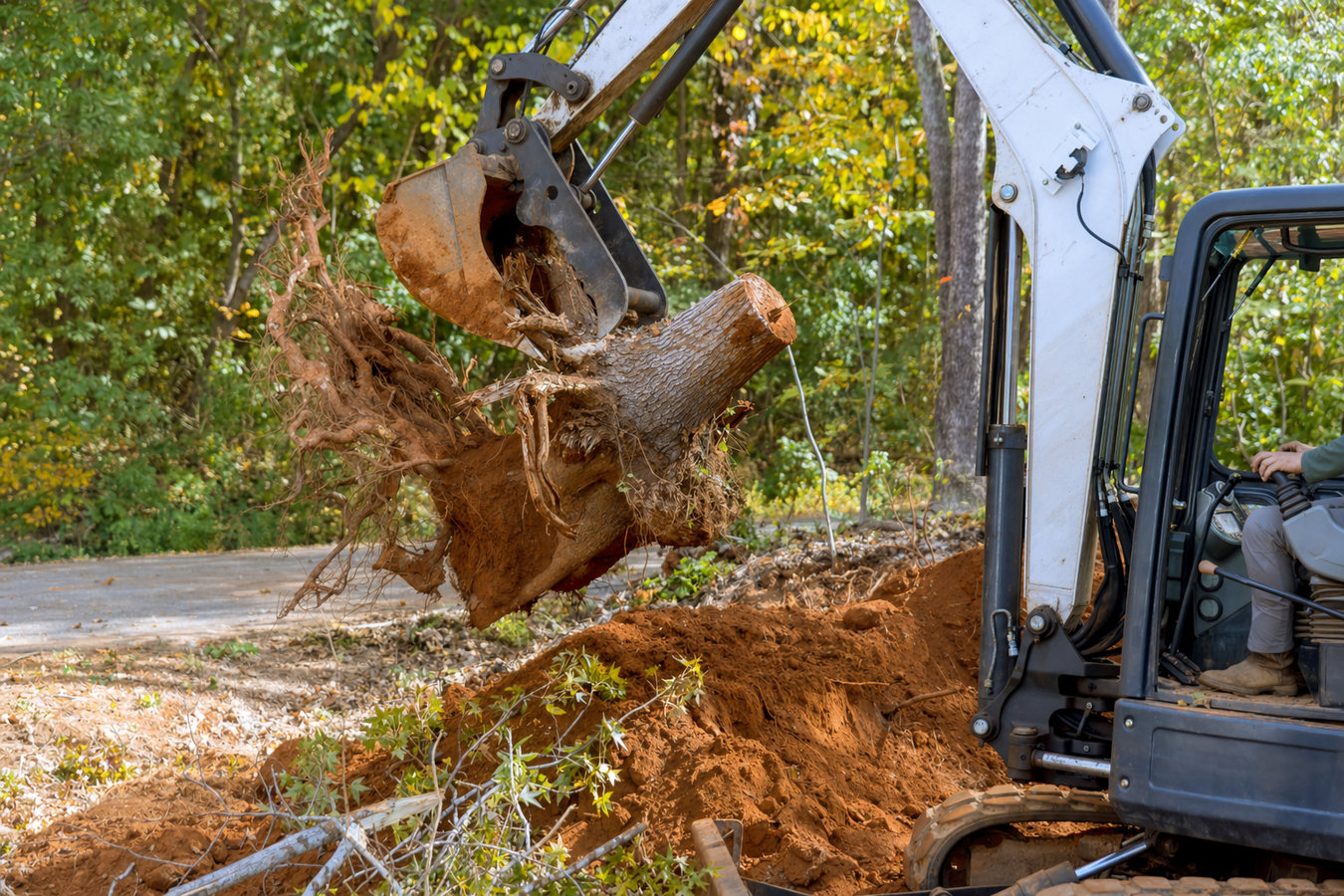Land clearing in Brawley, CA